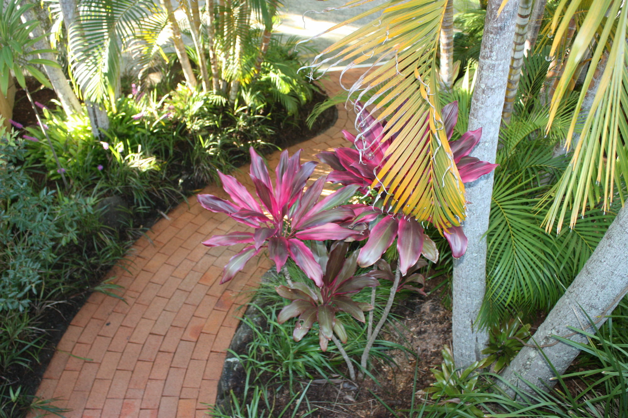 Mariner Bay Apartments Byron Bay Extérieur photo